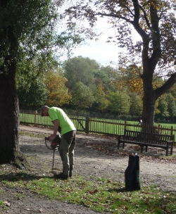 Digging out cylinders of earth